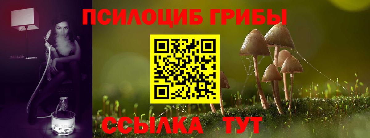 Ангарск  Псилоцибиновые грибы мухоморы  Псилоцибиновые грибы MAGIC MUSHROOMS  Вход с VPN 